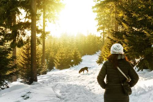 Winter hiking: Magical or miserable? - Harvard Health