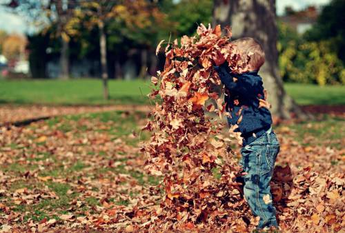 Spring Cleaning Isn’t Just for Spring: How to Use Your Calendar for Fall Deep Cleaning